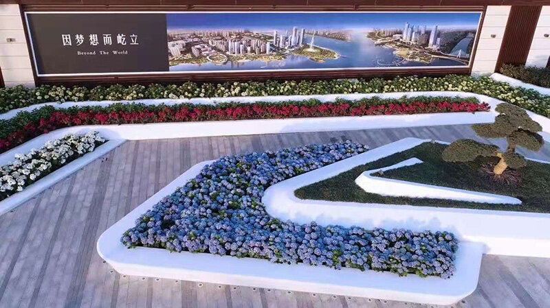临沂1.jpg